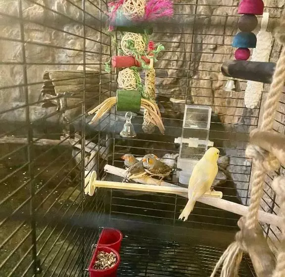 Hotelli Polonez W Rymaniu