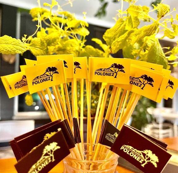 בית מלון כפרי Polonez W Rymaniu