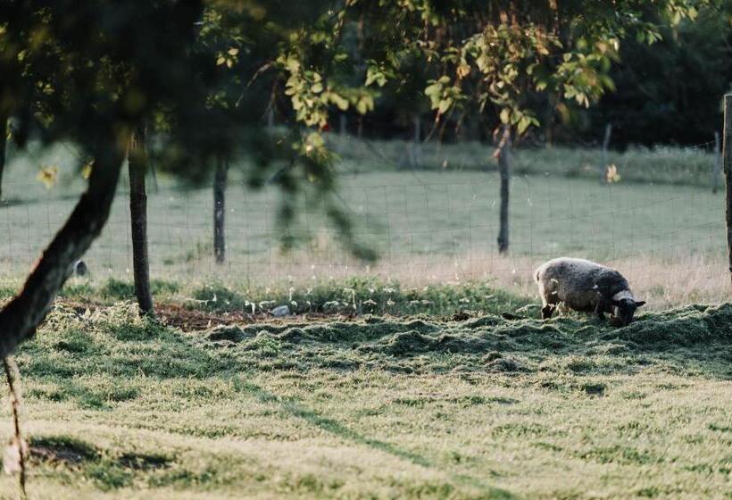 호텔 Ranczo W Dolinie