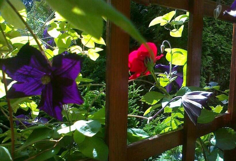 پانسیون Dom Wypoczynkowy Anna   Opcjonalnie śniadania W Starej Piekarni