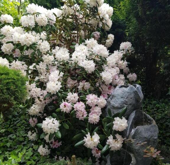 پانسیون Dom Wypoczynkowy Anna   Opcjonalnie śniadania W Starej Piekarni