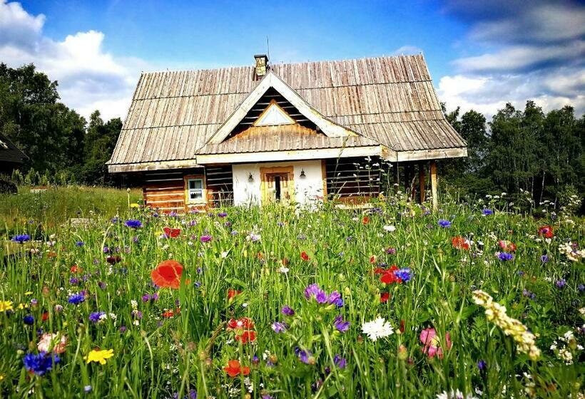 膳宿费 Kaajówkowa Zagroda