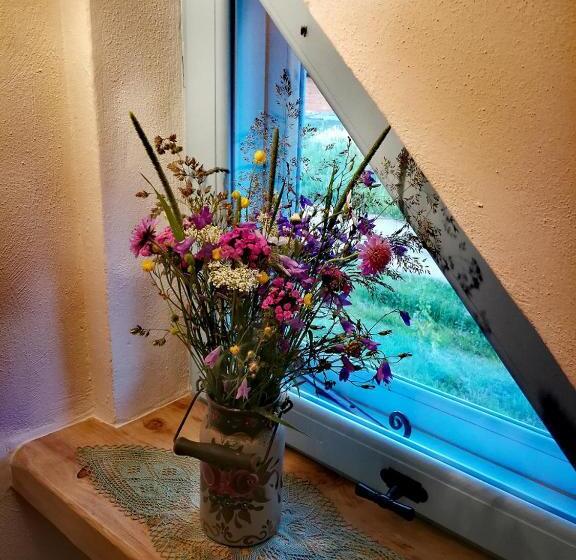 膳宿费 Kaajówkowa Zagroda