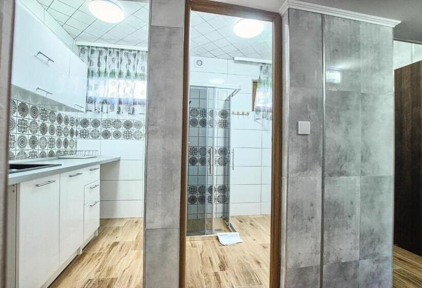 펜션 Willa Zakobystra