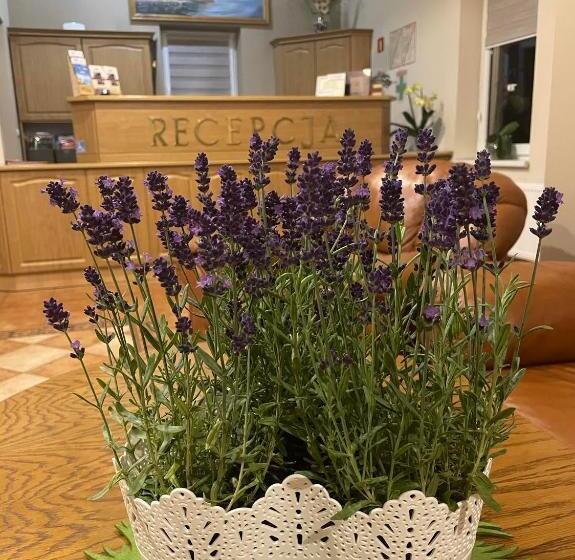 Pensjonat I Restauracja Nowak