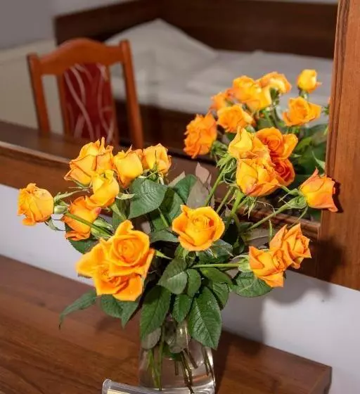 ユースホステル Weranda Rooms