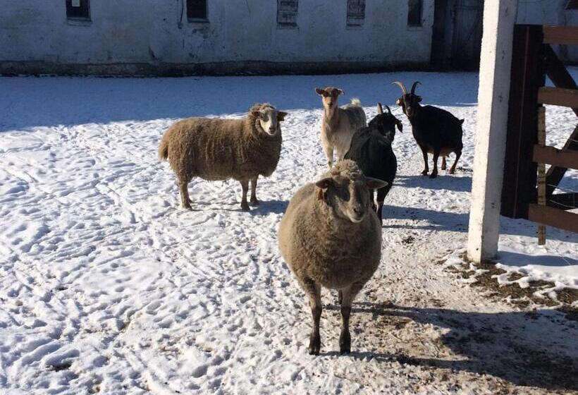 تختخواب و صبحانه Folwark łuknajno Nad Jeziorem śniardwy