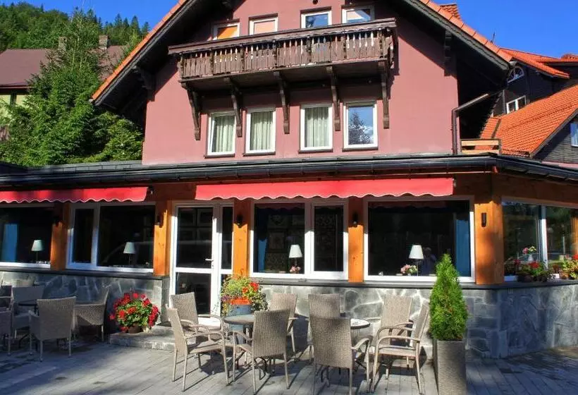 Aamiaismajoitus (B&B) Gronik