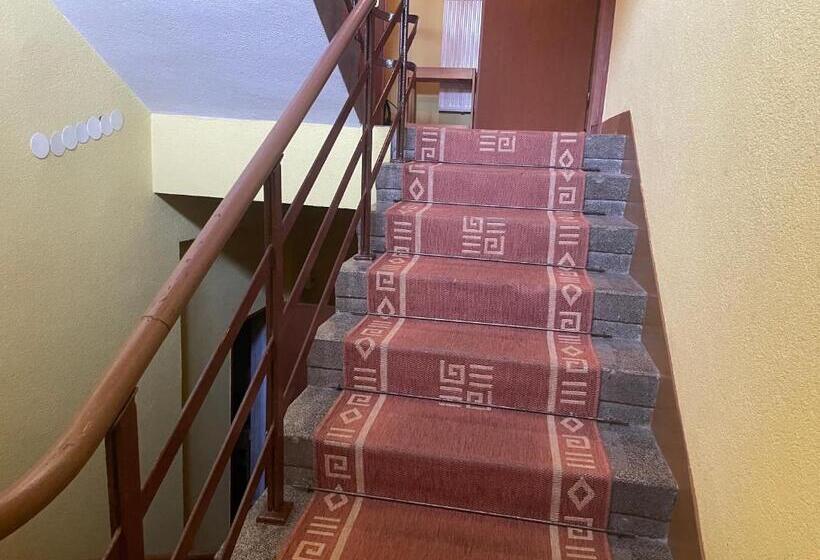 住宿加早餐 Willa Stenia Apartamenty