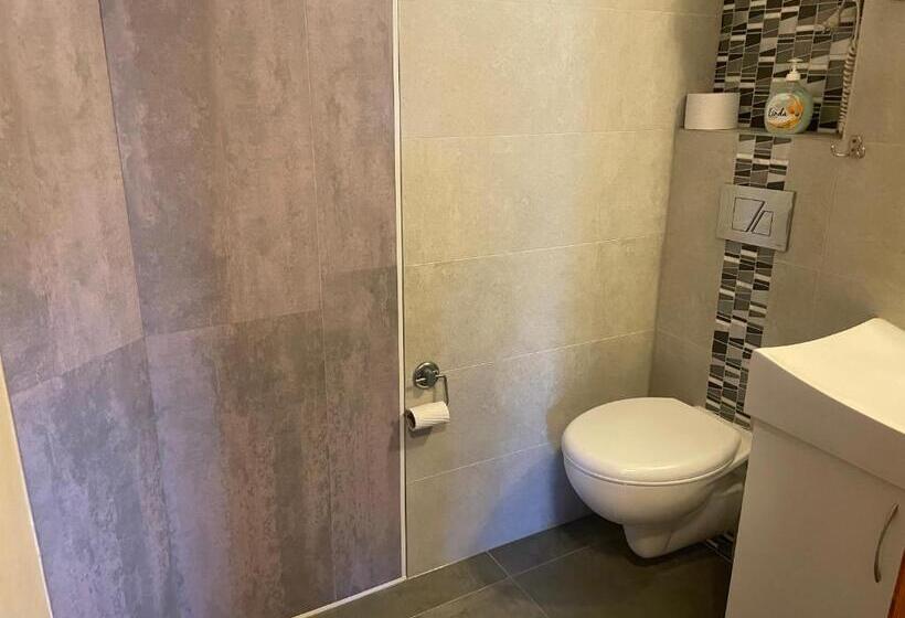 住宿加早餐 Willa Stenia Apartamenty