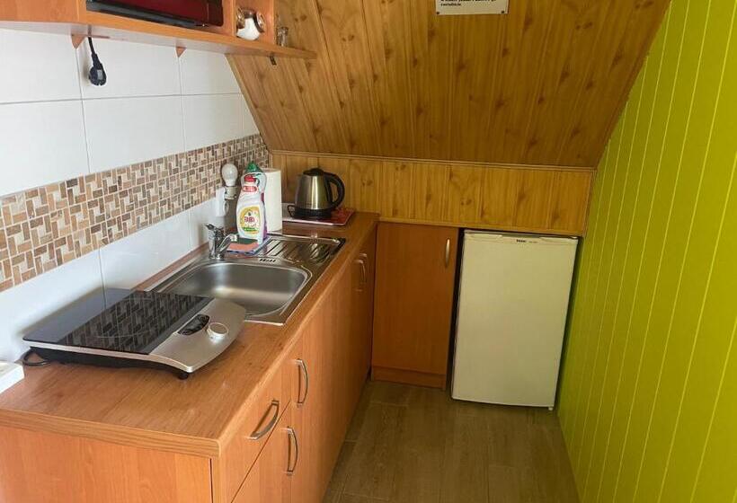 住宿加早餐 Willa Stenia Apartamenty