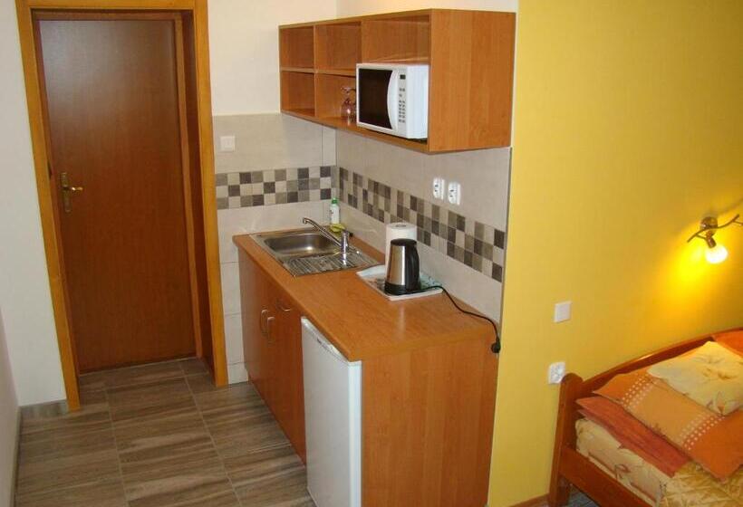 住宿加早餐 Willa Stenia Apartamenty