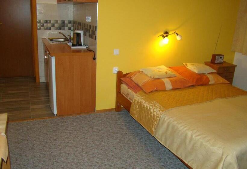 住宿加早餐 Willa Stenia Apartamenty