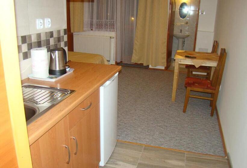 住宿加早餐 Willa Stenia Apartamenty