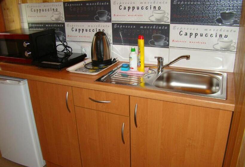 住宿加早餐 Willa Stenia Apartamenty