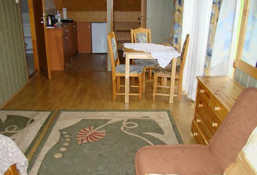 住宿加早餐 Willa Stenia Apartamenty