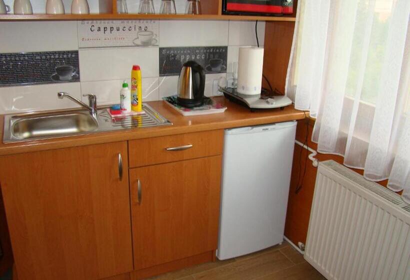 住宿加早餐 Willa Stenia Apartamenty