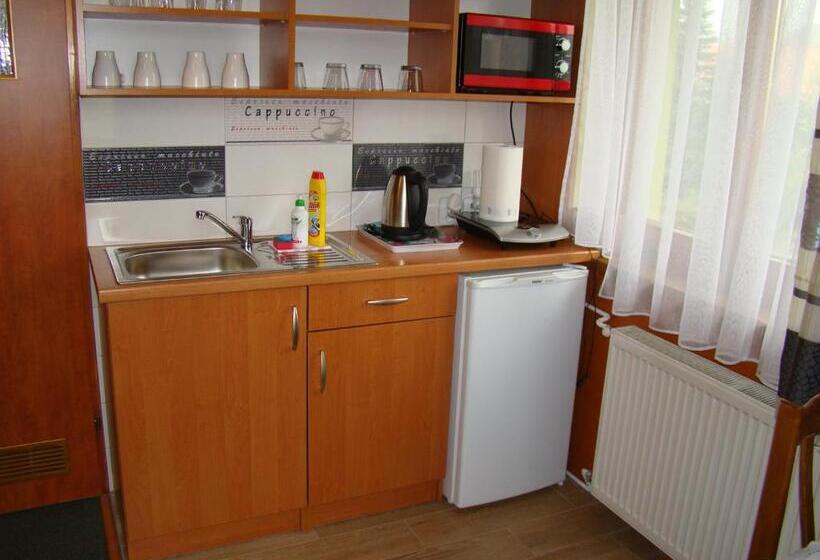 住宿加早餐 Willa Stenia Apartamenty