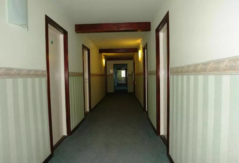 Hotel Junior