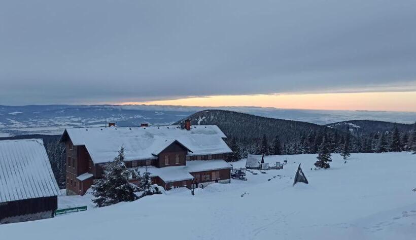 פנסיון Willa Janina