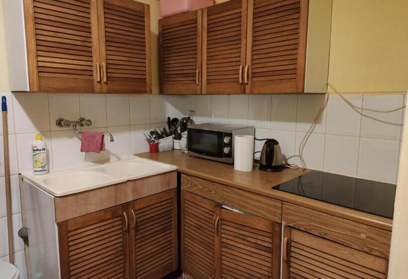 פנסיון Willa Janina