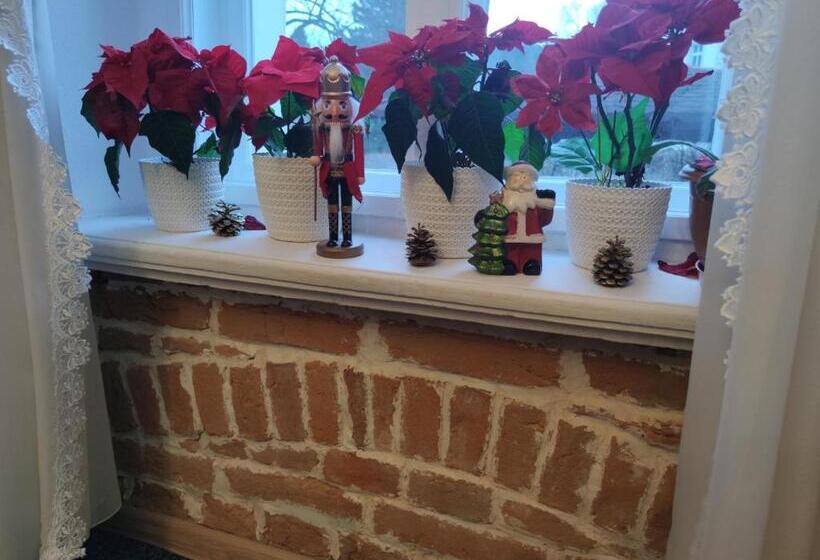 פנסיון Willa Janina