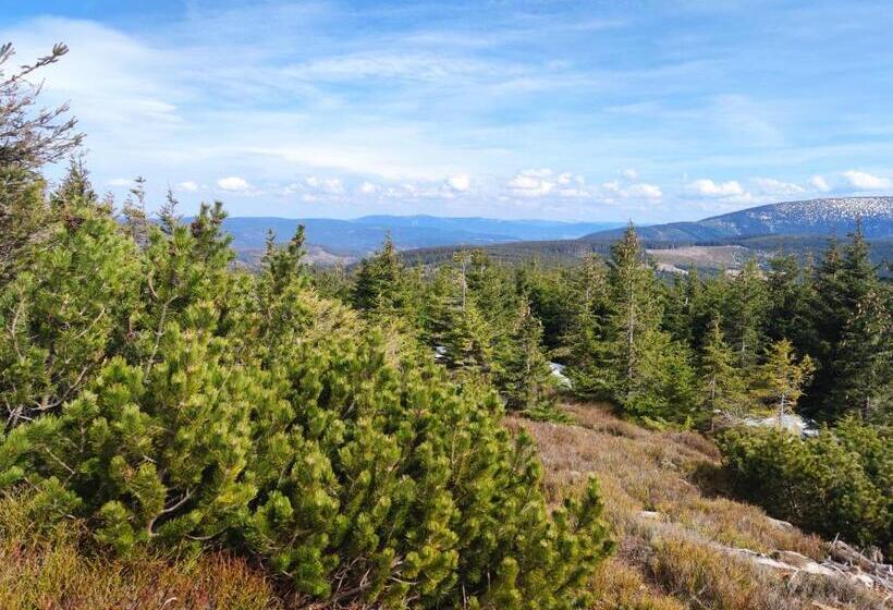 פנסיון Willa Janina