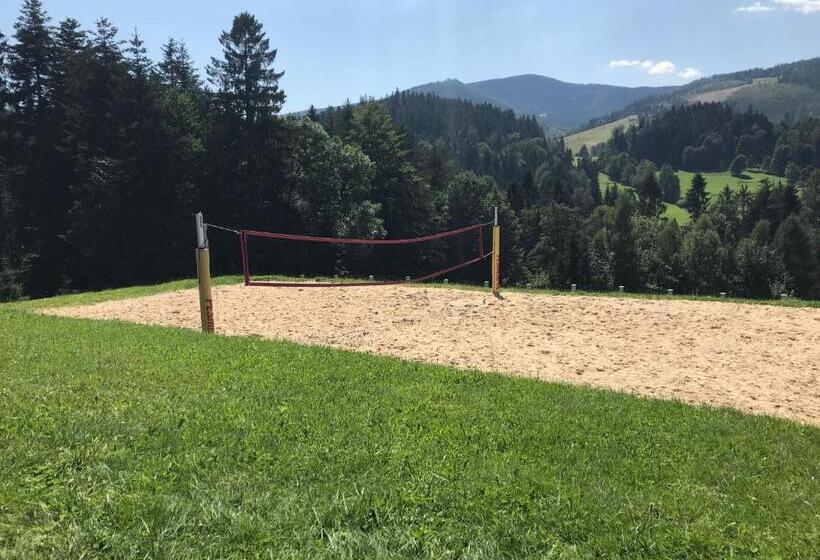 膳宿费 Willa Podgórska