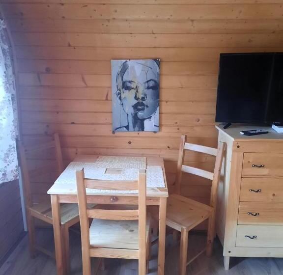 膳宿费 Willa Podgórska