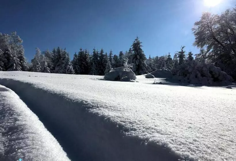 ペンション Willa Podgórska