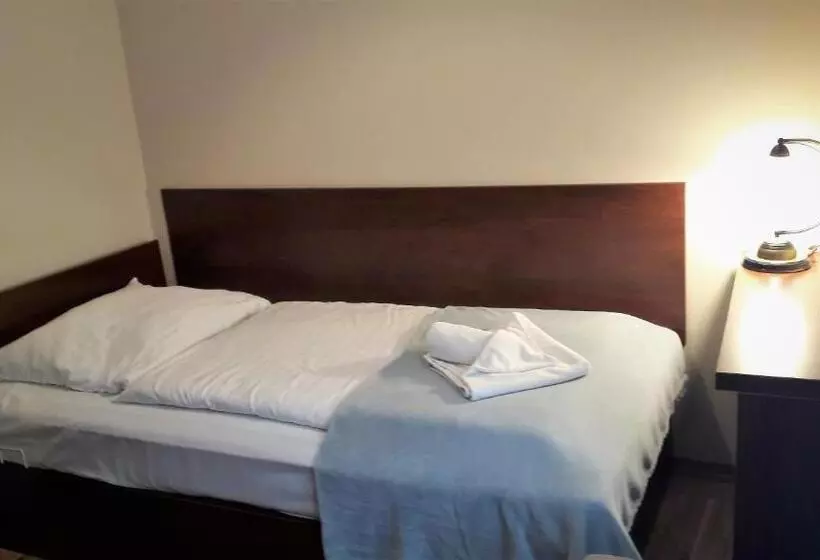 リゾートホテル Leśna Polana