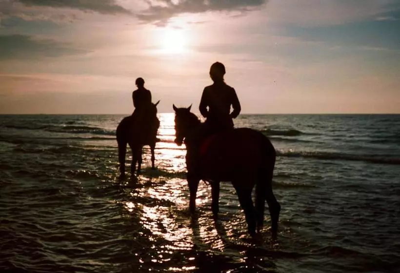 Zamek łeba Resort & Spa