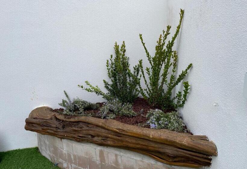 Bed and Breakfast Agua Dorada Boutique