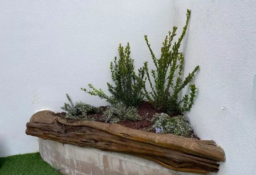 ベッドアンドブレックファースト Agua Dorada Boutique