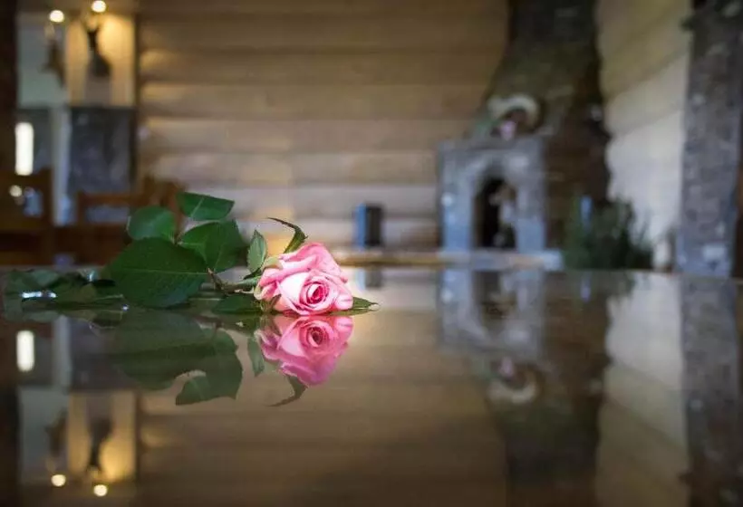 Aamiaismajoitus (B&B) Willa Bukowina