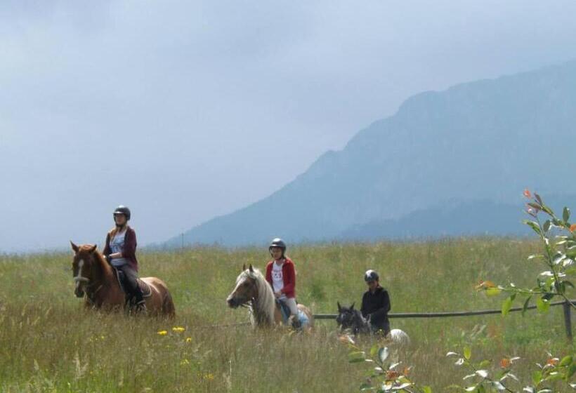 هتل Ranczo W Dolinie