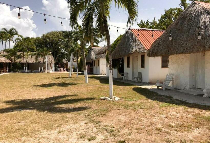 بنسيون Casa Mama