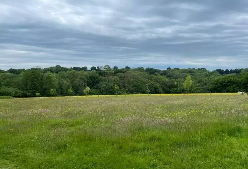 Majatalo Meadow View