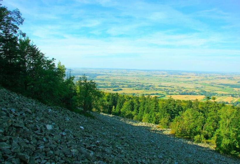 펜션 Noclegi Na Wzgórzu