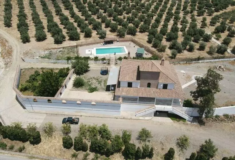 Aamiaismajoitus (B&B) Cuartos Y Desayunos Hacienda Los Olivos álora