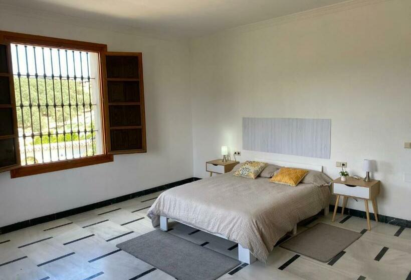 Bed and Breakfast Cuartos Y Desayunos Hacienda Los Olivos álora