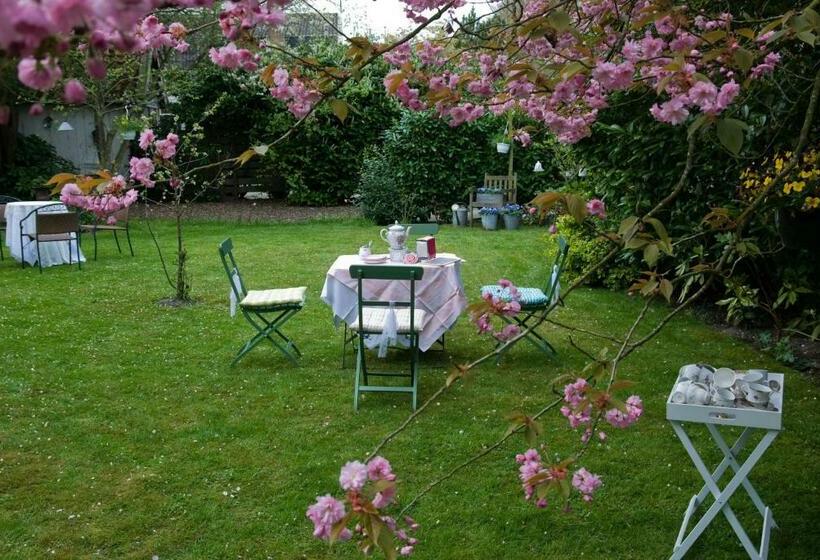 Theetuin En B & B  De Theetuin