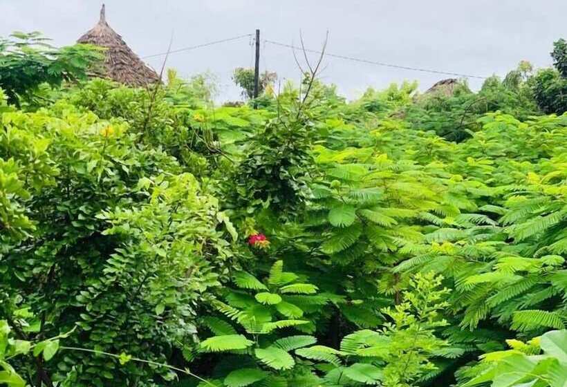 Bed and Breakfast The Dream Garden Bungalow