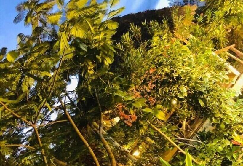 Bed and Breakfast The Dream Garden Bungalow