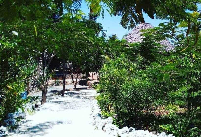 Bed and Breakfast The Dream Garden Bungalow