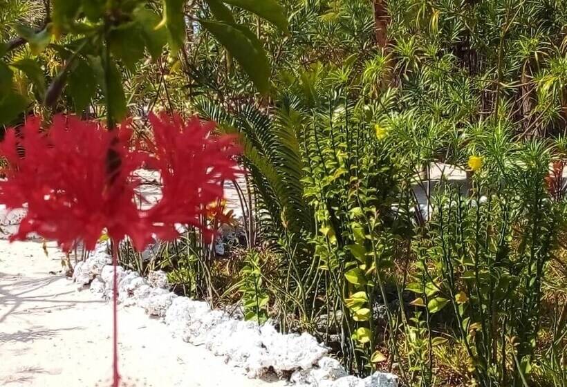 Bed and Breakfast The Dream Garden Bungalow