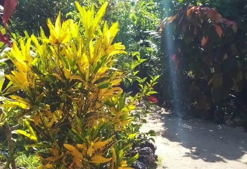 Bed and Breakfast The Dream Garden Bungalow