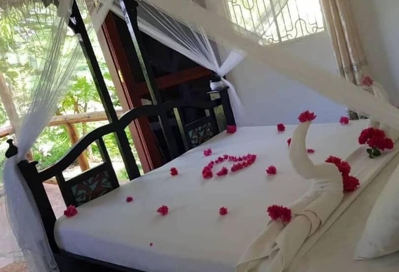 Bed and Breakfast The Dream Garden Bungalow