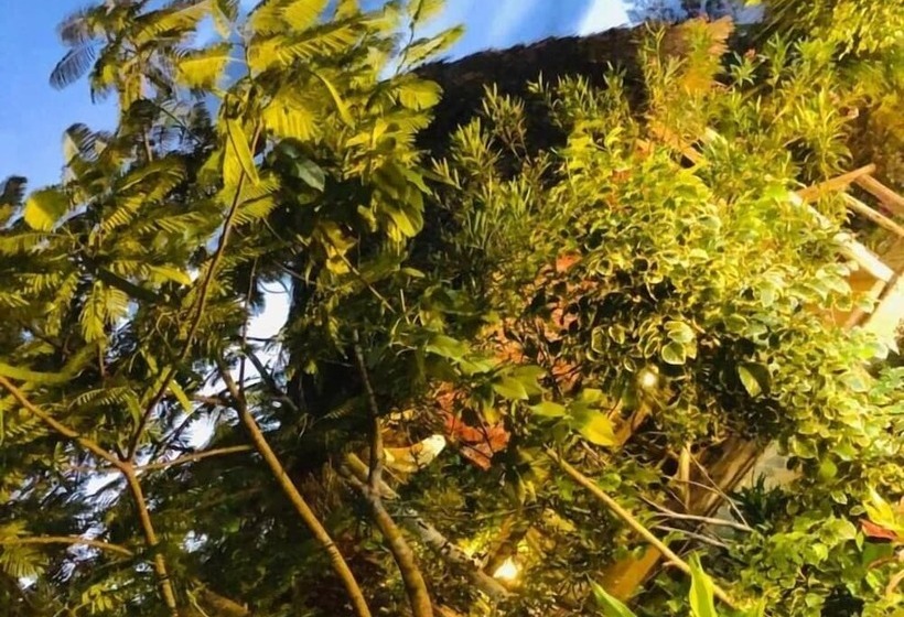 Bed and Breakfast The Dream Garden Bungalow