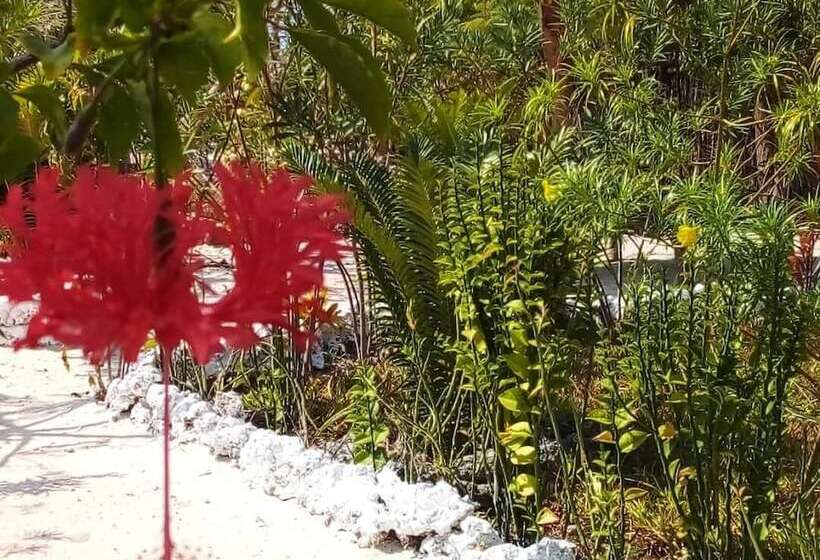 Bed and Breakfast The Dream Garden Bungalow